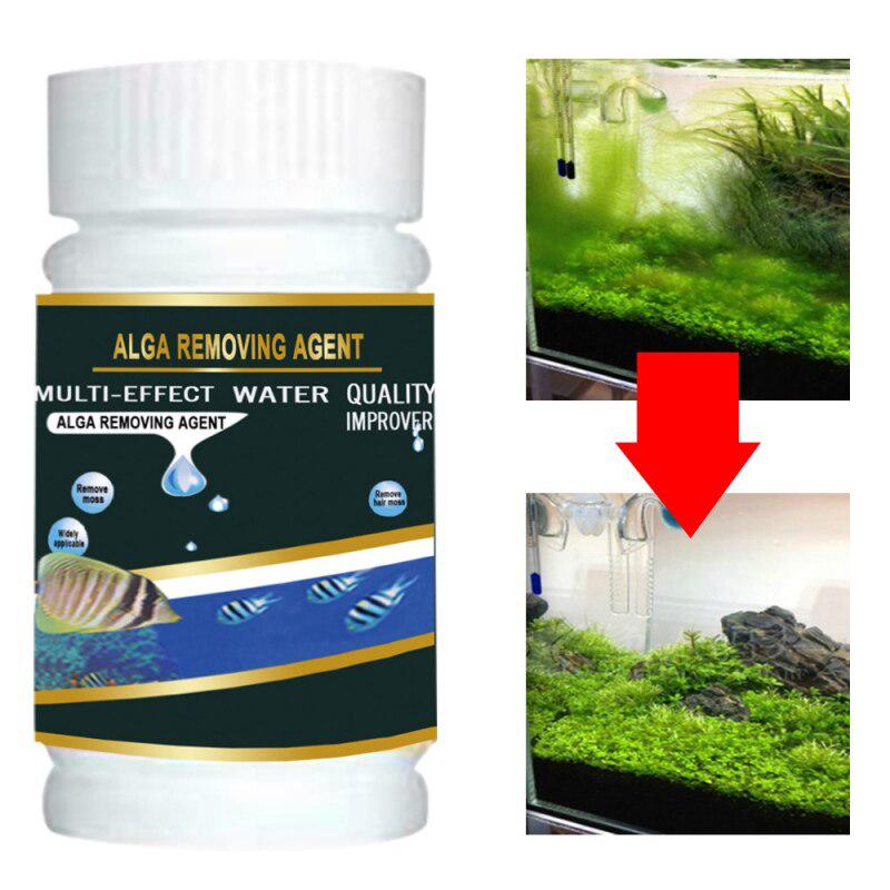 Buy Algae Remover For Aquarium Fish Tank Pond Algae Control Solution ...