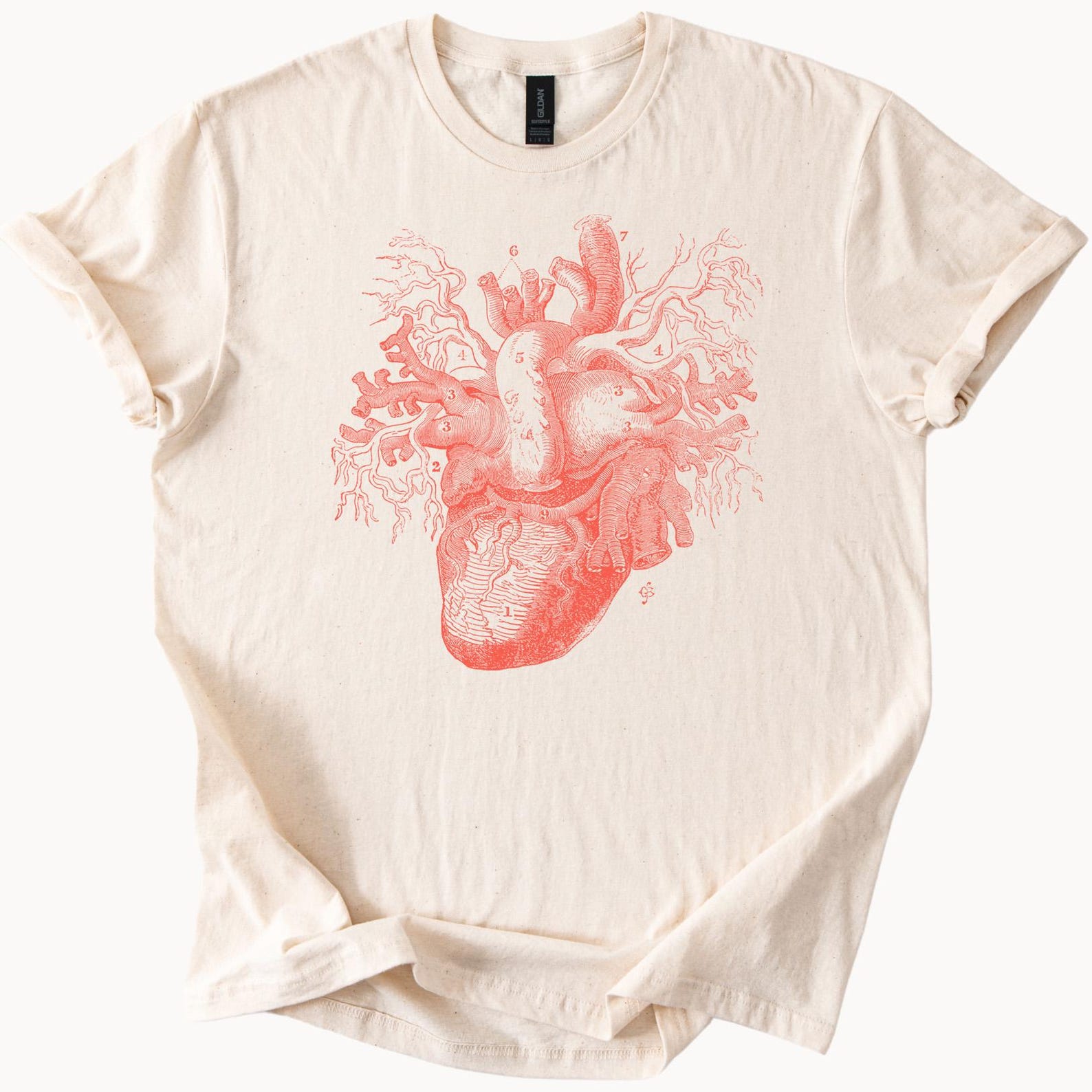 Anatomical Heart T Shirt Detailed Human Heart Medical Illustration Tee Science Art Graphic Shirt Gift for Doctors Nurses Biology Lovers 120