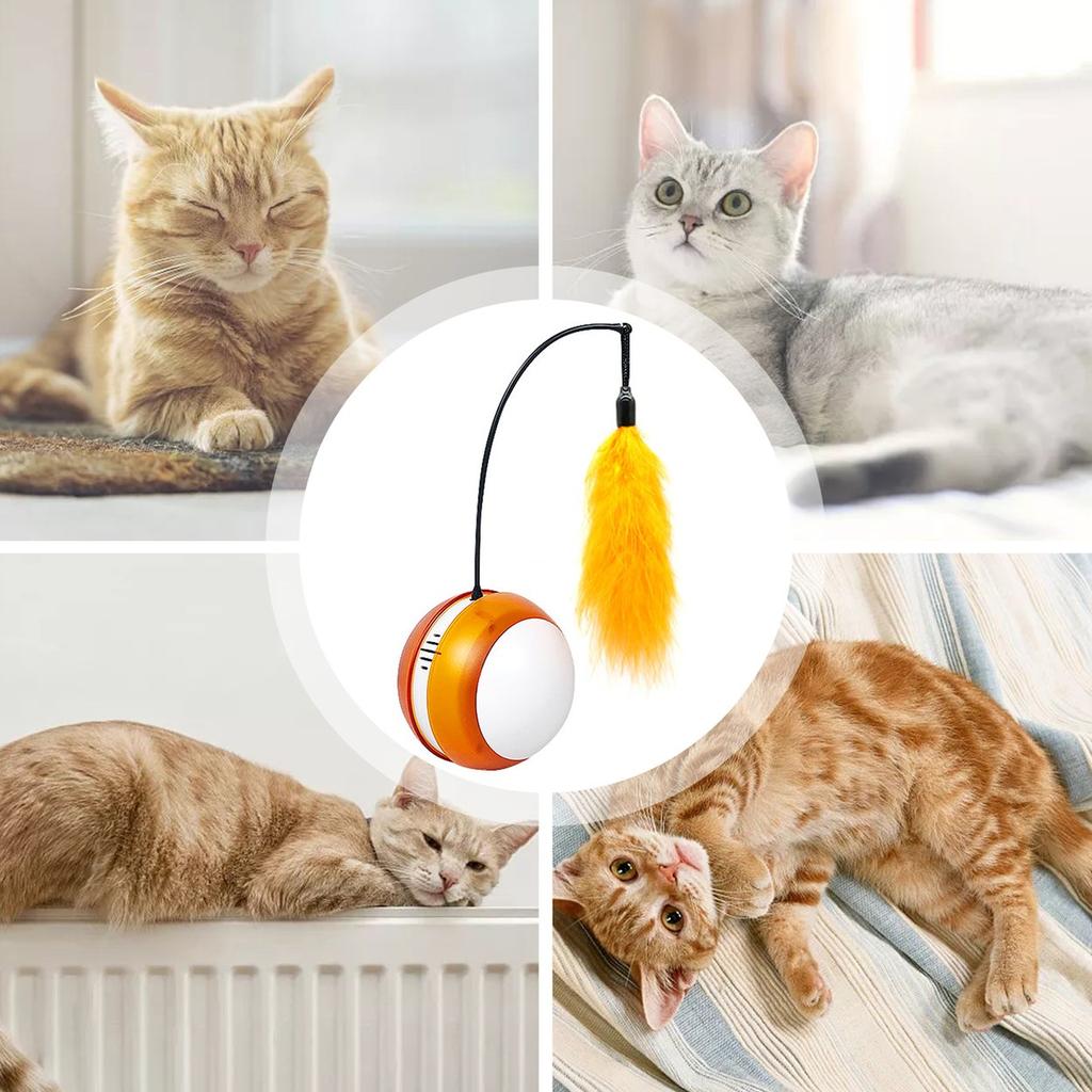 automatic feather cat toy
