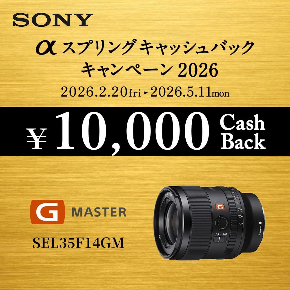 SONY (Sony) Wide Angle Single Focus Lens Full Size FE 35mm F1.4 GM G Master Digital SLR Alpha [E ...