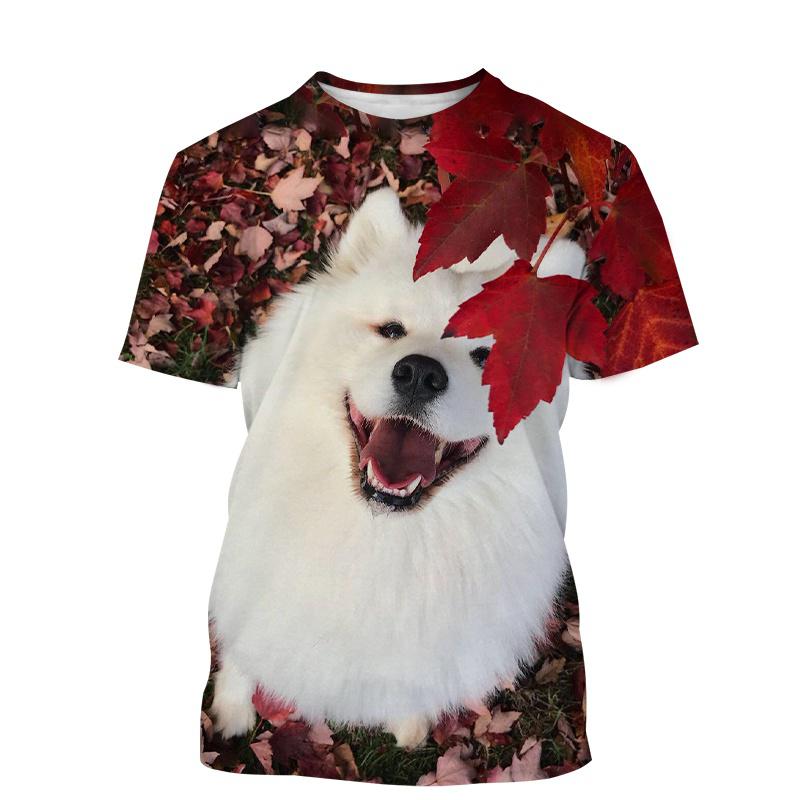 Neues Casual T-Shirt für Herren, Damen, Kinder 3D-Druck Niedliches Tier Hund Samojede Muster Atmungsaktiv Leicht Sommer Sport Oberteil