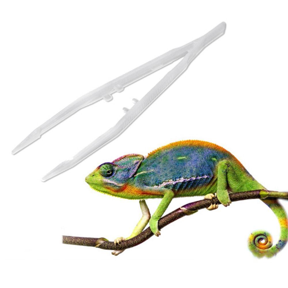 Anti-static Straight Tweezer Animal Feeder Clamp Reptile Feeding Tweezer Tortoise Feeding Tongs