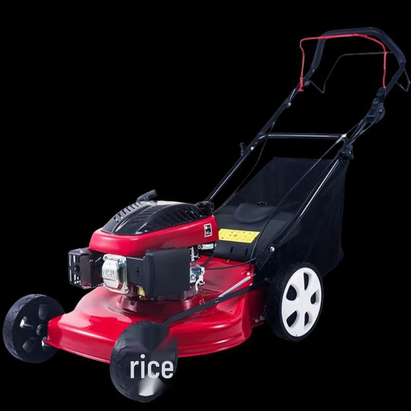 HERTZMRO GCJ-ES18 18-inch Four-Stroke Push Lawn Mower CN Plug (adapter Included)
