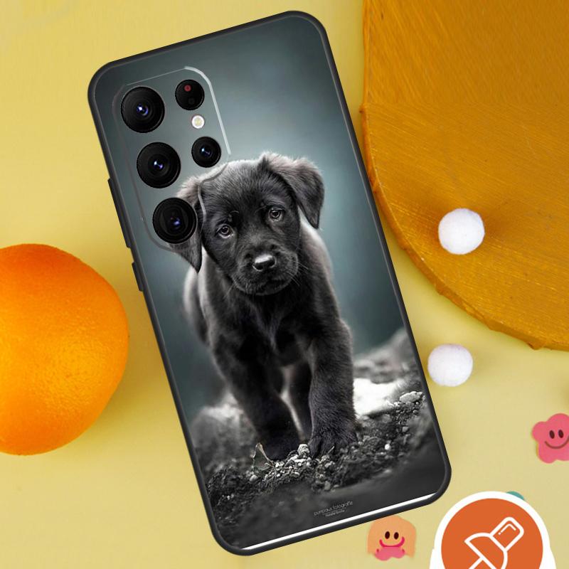 

Labrador Puppy Dog Phone Case For Samsung Galaxy S25 Ultra S24 S23 S22 S21 Ultra S9 S10 Plus S20 FE Funda Cover Galaxy S9