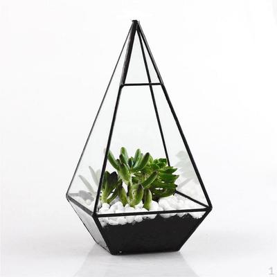 Pyramide Glas Geometrisches Terrarium Box Tischpflanzer Geschenk Schwarz