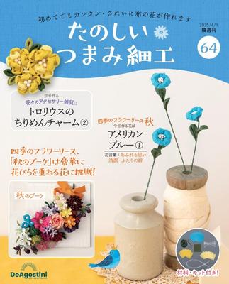 Fun Tsumami Zaiku 64 No. [Encyclopedia] (with Kit)