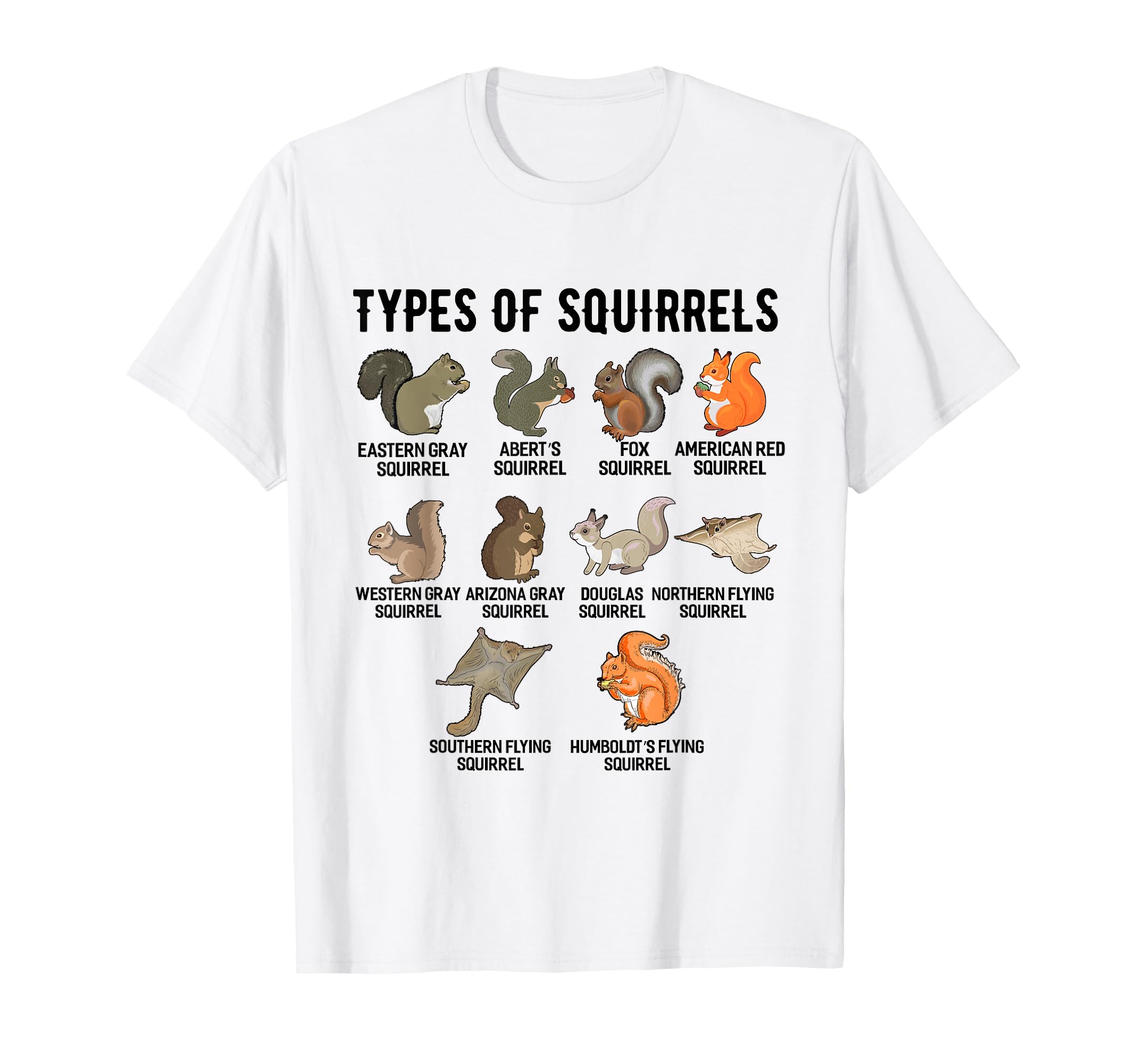 

Types of Squirrel Shirts Funny Squirrel Shirts Squirrel T-Shirts