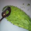 Cactus Peeler Spoon, Stainless Steel Rice Meat Dumplings Spoon Squeezing Meatball  Spoon Kitchen Tools, Stainless Steel Nopales Peeler