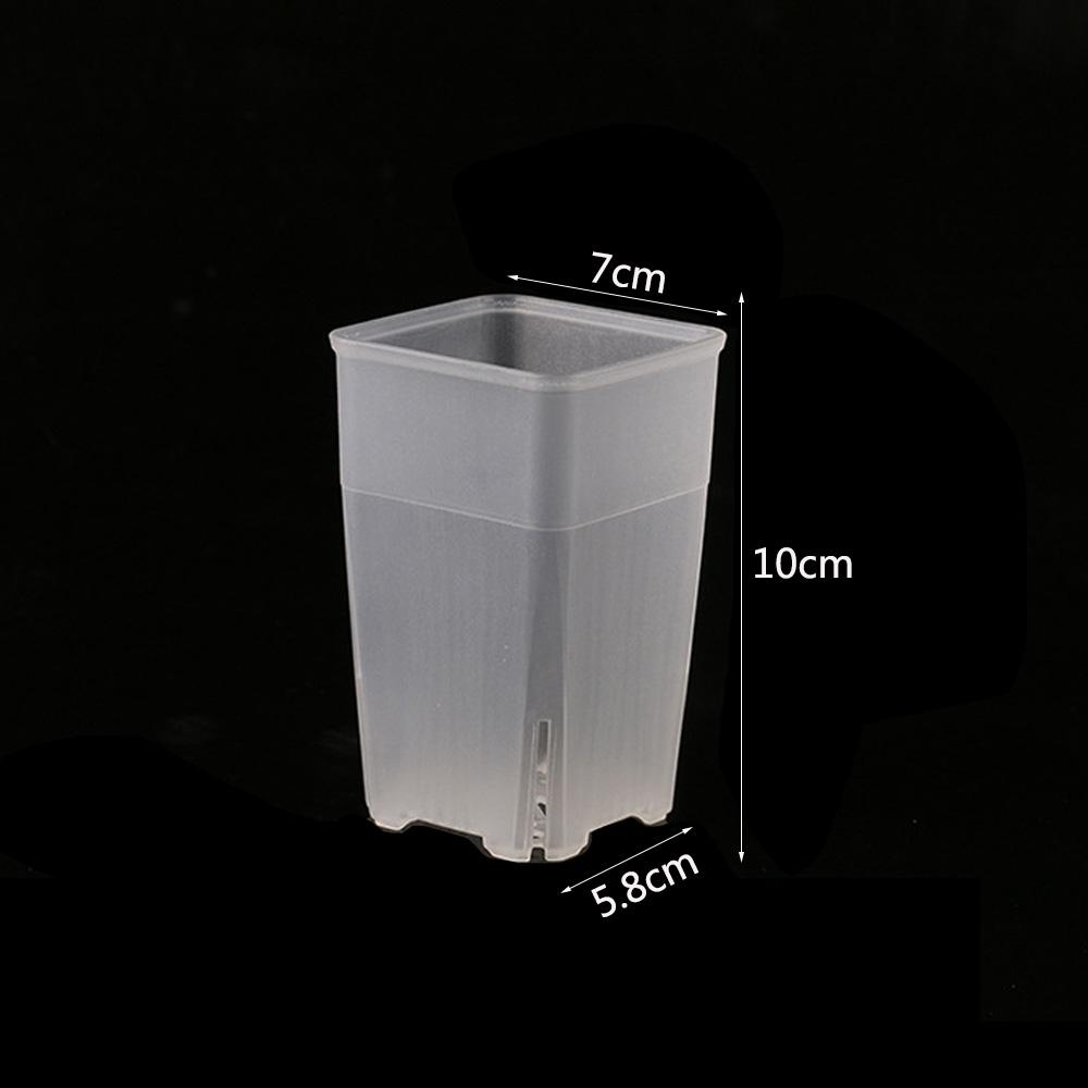 Square Meaty Flower Plastic Transparent Pot Breathable Bonsai Plant Pot Desktop Decoration For Garden Yard Living Room Balcony