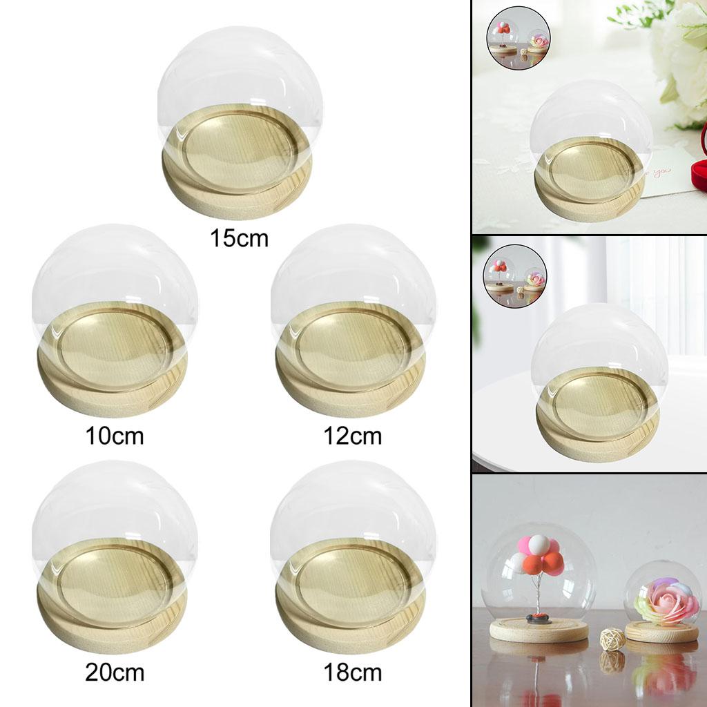 Gläserne Display-Cloche Terrarium Kugelförmige Abdeckung mit Holzsockel