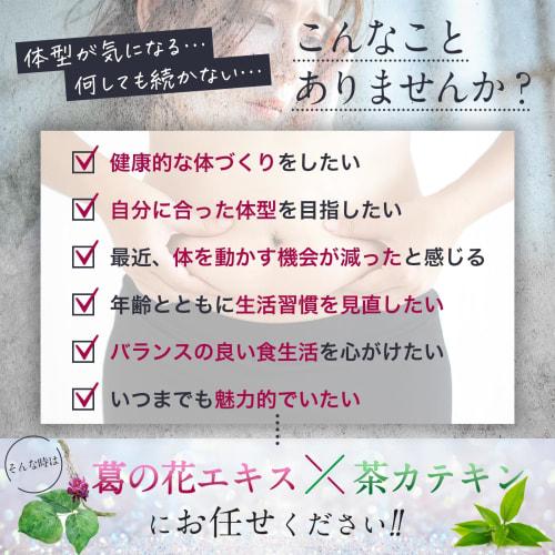 [Pharmaceutical Company Supervised] Kudzu Flower and Tea Catechin Diet Support Supplement, Contains Kudzu Flower-Derived Isoflavones and Saponins, Gal