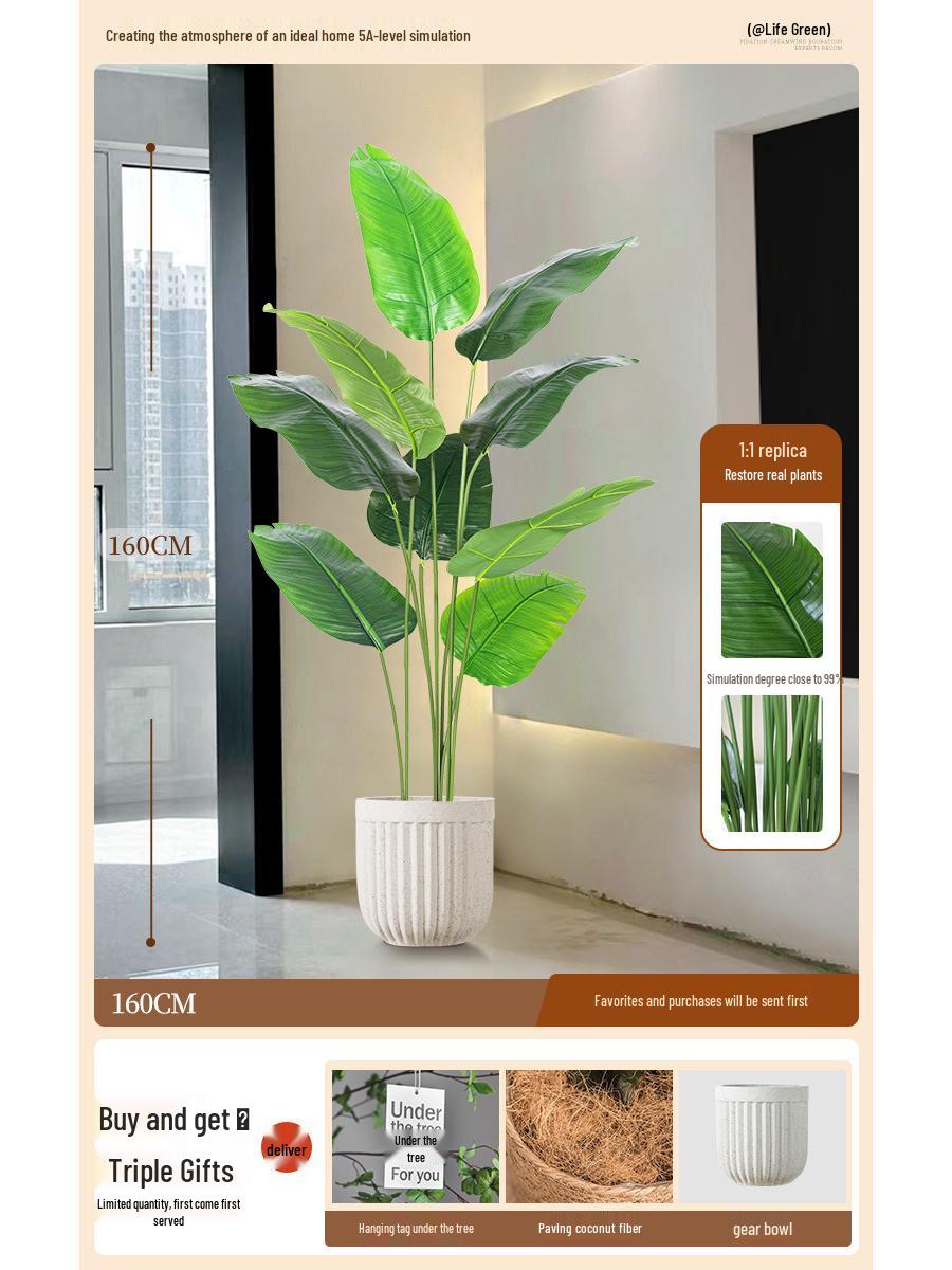 Большое напольное украшение для помещений: Искусственное растение «Пальма путешественника» для гостиной рядом с диваном или тумбой под телевизор.