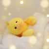 Apricot Lamb Arctic Eider Duck Plush Toy for Kids, Soft and Cute, Fluffy Arctic Eider Duck for Girls and Boys, 23cm