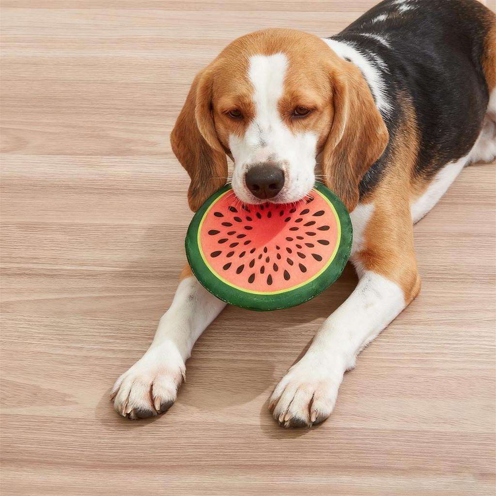 Plush Watermelon Shaped Catnip Toy with Built-In Bell Soft Stuffed Pet Toy for Interactive Play and Comfort