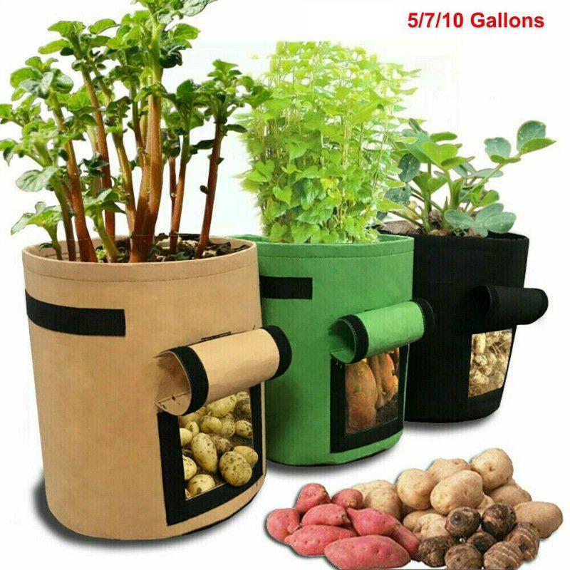 Durable And Reusable 5/7/10 Gallon Vegetable Grow Bags With Convenient Carry Handles