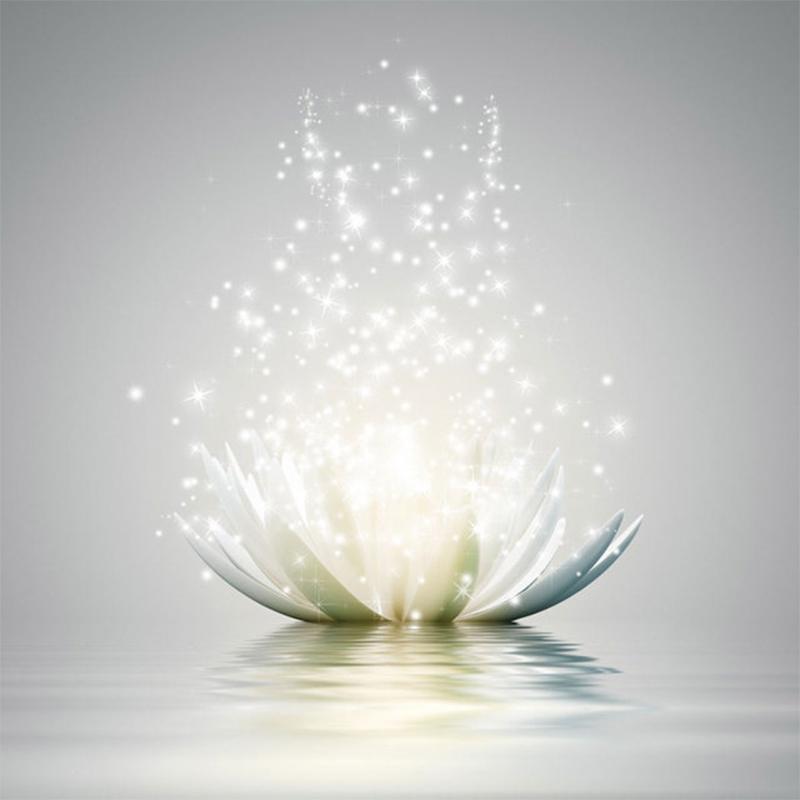 5D Diy Diamond Painting Full Flower Lotus Diamond Embroidery Decorative Paintings Cross Stitch Kits Needlework Needlework Art