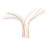 5Pcs Mini Micro Jst 2.0Mm Ph 4-Pin Male Connector Plug Wires Cables 200Mm