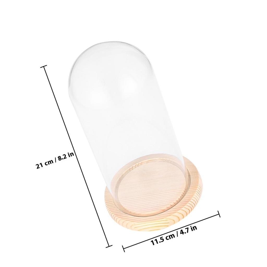 Micro Landscape Flower Glass Cover Eternal Transparent Dustproof Glass Dome 9x15cm Wooden Base DIY Valentine Gift