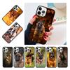 Belgischer Malinois Welpe Hund Hülle Schale Für iPhone 17 Air 15 16 14 13 12 Pro Max 11 Pro Max Plus Handyhülle Abdeckung