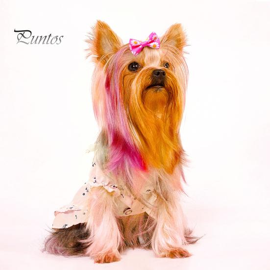 10 шт. — фото 7