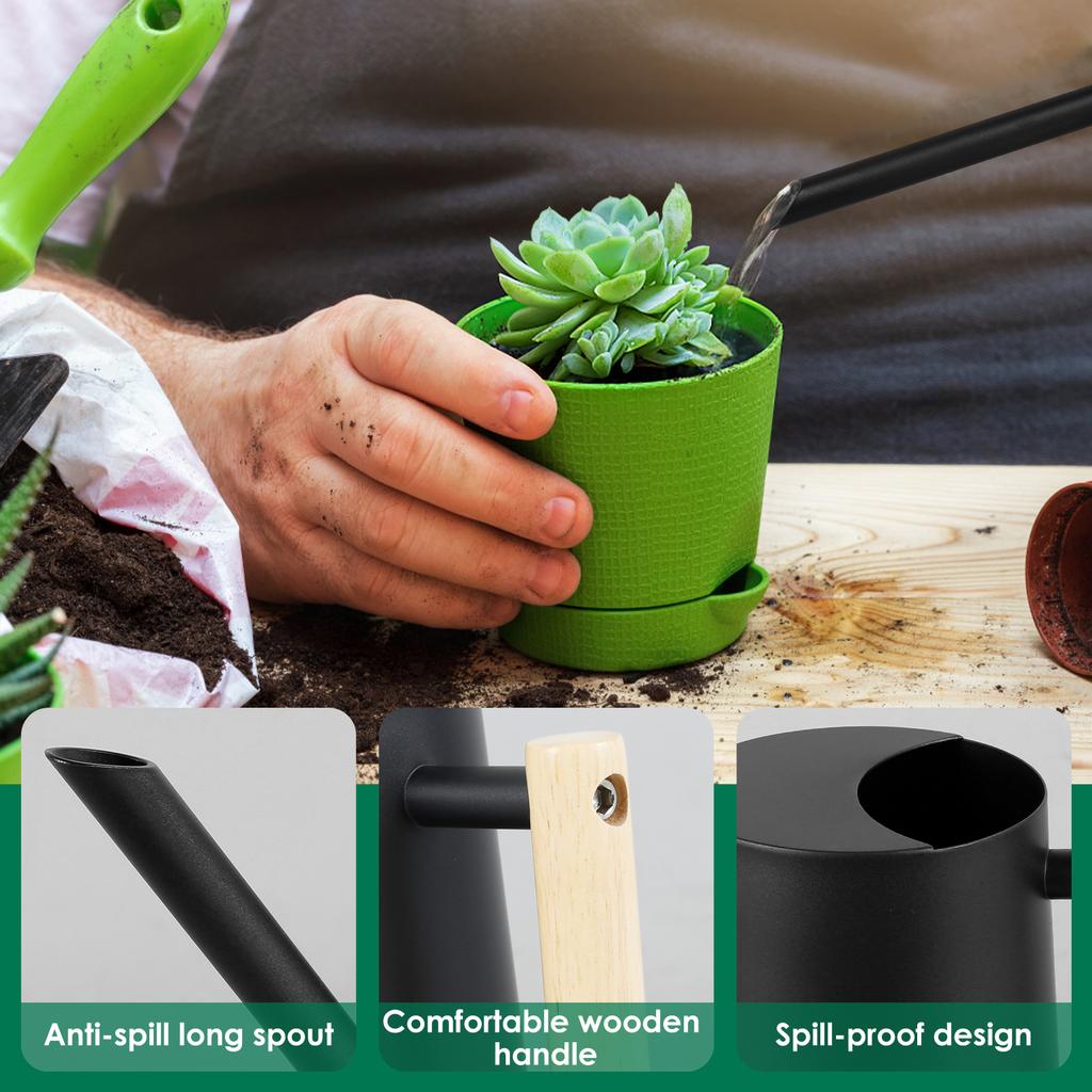 35oz/1L Watering Can Stainless Steel Bottles Kettle with Long Spout Practical Flowers Irrigation Plant Sprinkler Gardening Tools