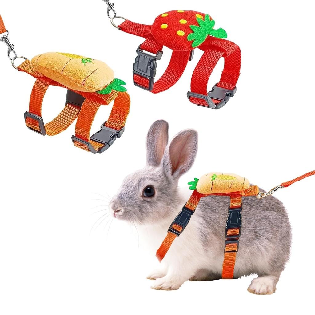 2pcs Rabbit Harness and Leash Set Cute Carrot and Strawberry Trim, Adjustable,for Rabbits, Cats Small Pets