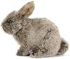 Carolata Japanese Rabbit Plush Toy (Real Animal BabySoft to the Touch) Real Rabbit Animal Baby Toy Doll Gift Present Birthday (Checked twice) 