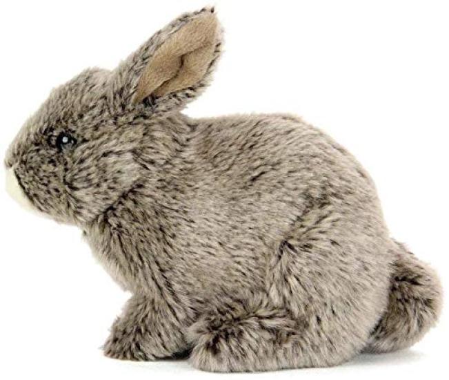 Carolata Japanese Rabbit Plush Toy (Real Animal BabySoft to the Touch) Real Rabbit Animal Baby Toy Doll Gift Present Birthday (Checked twice) 