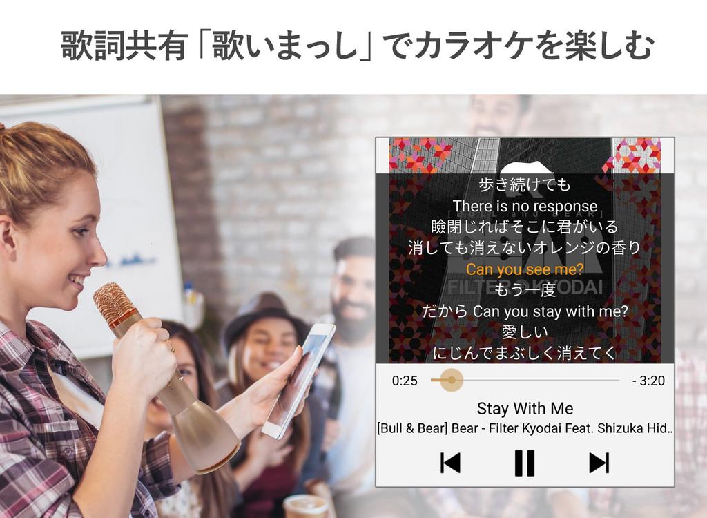 DATA iPhone Smartphone CD Import Connection I-O iOS/Android/Wi-Fi "CD Record" CDRI-W24AIW