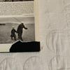 [USED] Marc Riboud Photo Collection