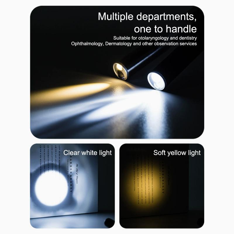Tragbarer Mini-Pupillenstift mit doppelter Lichtquelle, oraler Pupillen-Taschenlampe, LED-Pflege-Taschenlampe, medizinischer Hand-USB-wiederaufladbarer Outdoor-Fisch