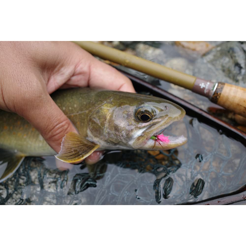 Jointer Mountain 30 Tenkara Rod for Stream and River Fishing, Trout, Yamame, Iwana, Rainbow Trout, and Amago, with Cork Grip