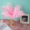 Color 20-25Cm Ostrich Hair Vase Ornament Wall Feather Decoration Hand Bouquet Flower Arrangement Diy Material