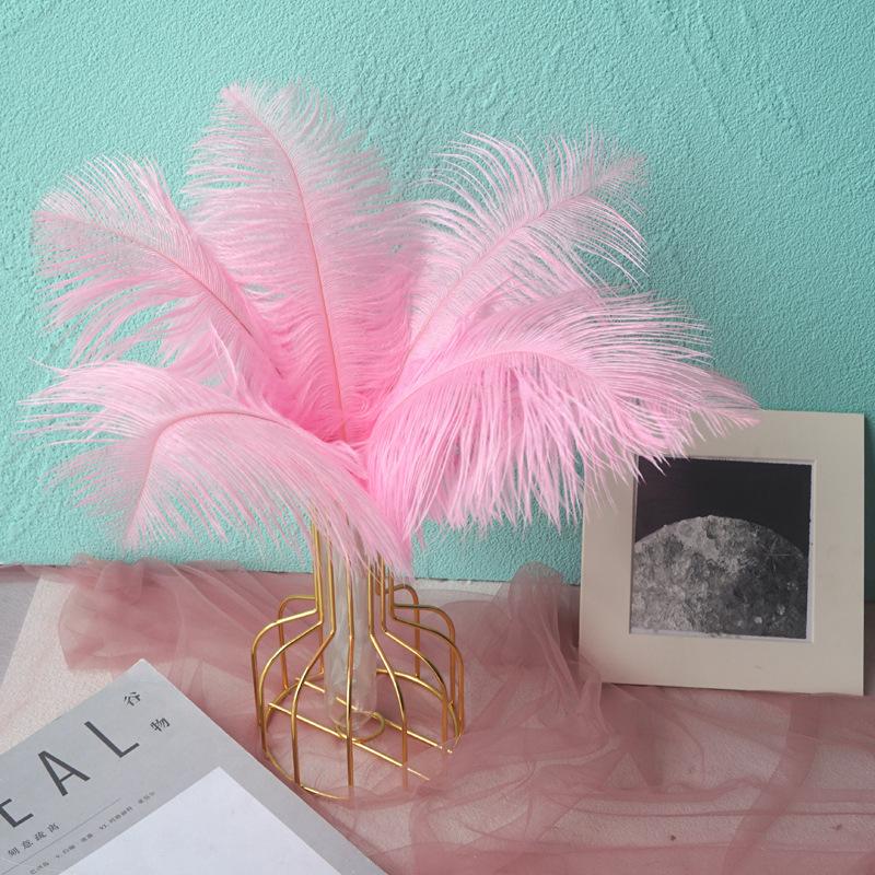 Color 20-25Cm Ostrich Hair Vase Ornament Wall Feather Decoration Hand Bouquet Flower Arrangement Diy Material