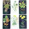 The Essential Oils Healing Deck 52 Cards To Enhance Body, Mind & Spirit 11*6cm