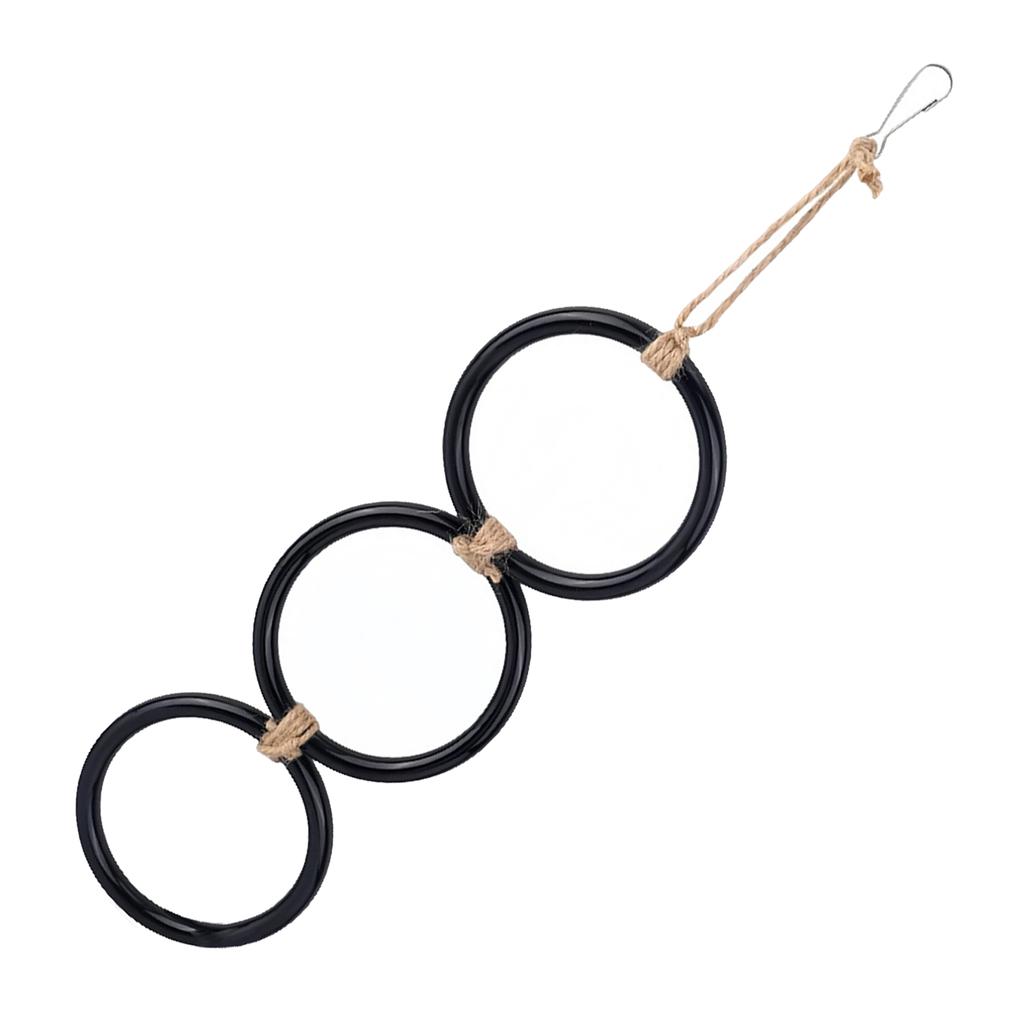 Safe Snake Climbing Rings Toy for Small Pet Flexible Hanging Rings Exercise Toy for Reptiles Training Cage Decoration