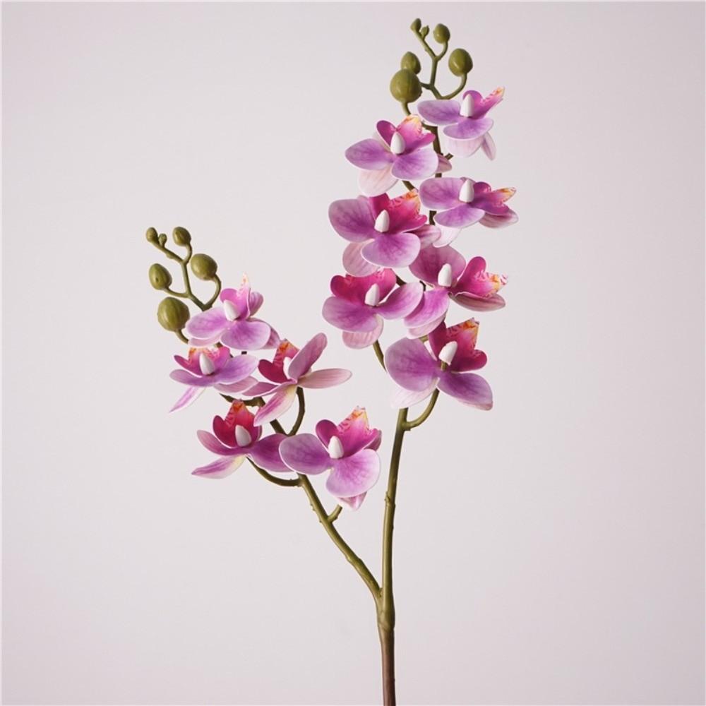 12 Heads Artificial Phalaenopsis Flower Moth Orchid Single Branch Simulation Butterfly Orchid Flower Arrangement DIY