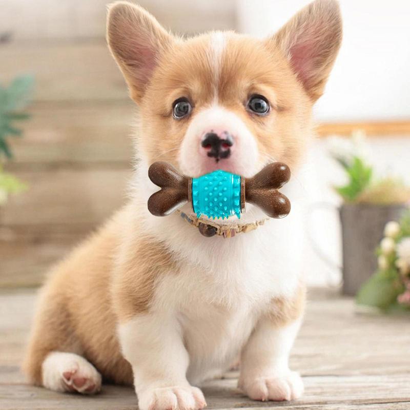 Spiky Bone Dog Toy Spikey Dog Teething Chew Toys Treat Dispensing Teething & Soothing Chew Toy Teething Sturdy Pet Toys For