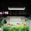Super Slim Aquarium LED Light Dimmable Aquatic Plant Lamp Full Spectrum Grow Lamp  Home Aquascaping
