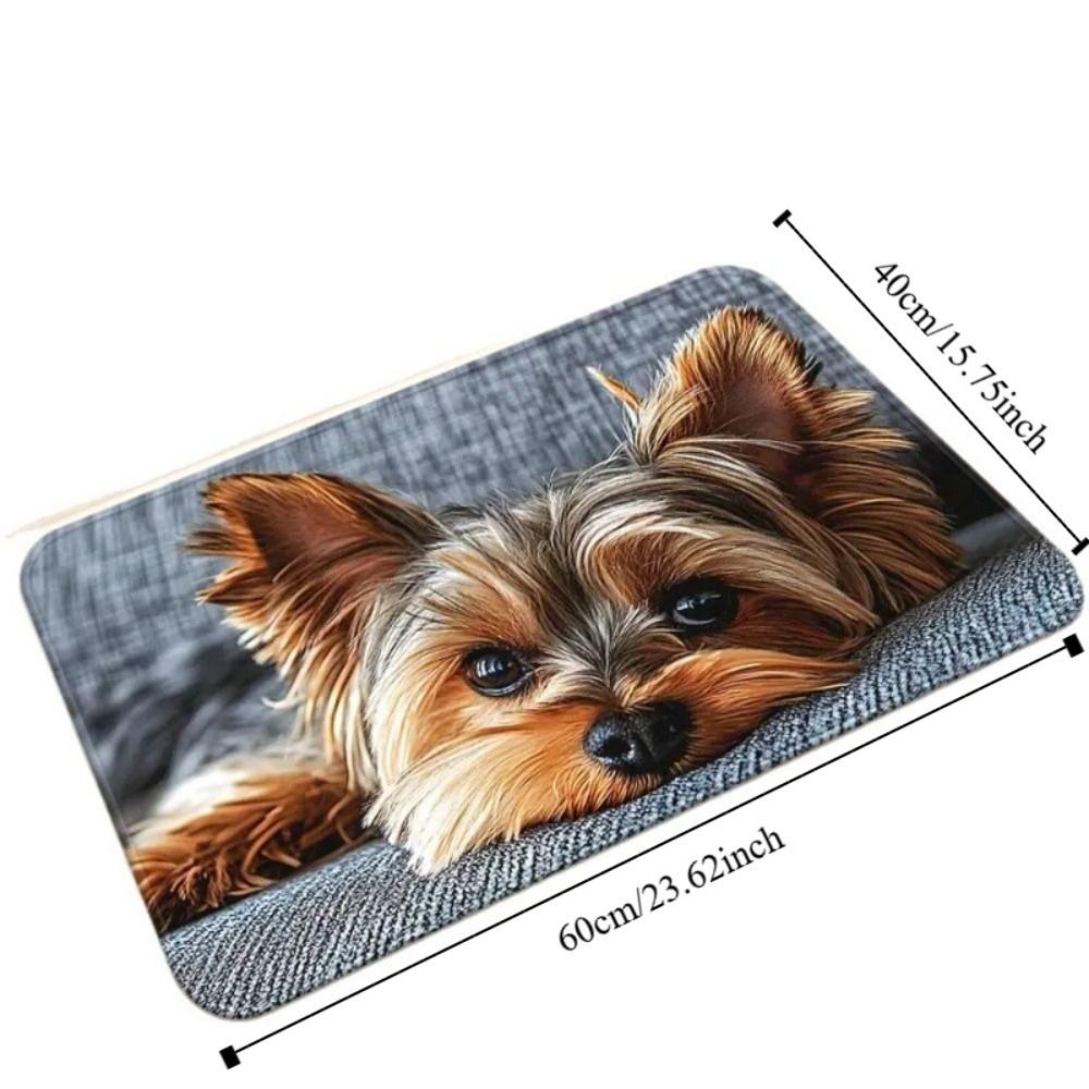 Dog Cat Absorbent Mat Cartoon Animal Cat Floor Mat Creative Bathroom Mat  Kitchen