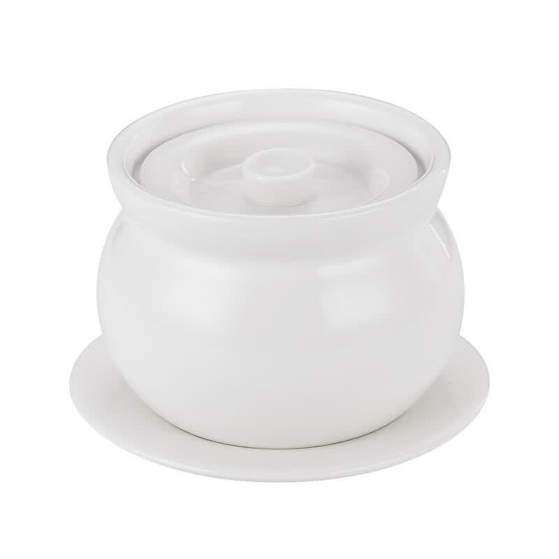 OIMG Ceramic Stew Pot with Lid & Saucer