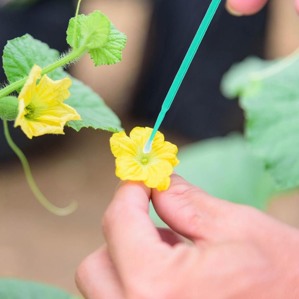 OUNONA Artificial Pollination Manual Pollination Tool for Pollination Set of Hand Manual Gardening Home Green Brush, Plants, 9.5cm Wands, 100,