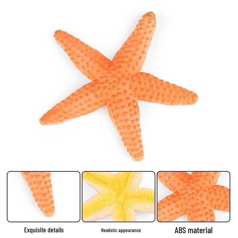 Starfish Model: Educational Sea Creature Toy & Fish Tank Decoration