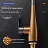 Handon Kitchen Pull-Out Faucet