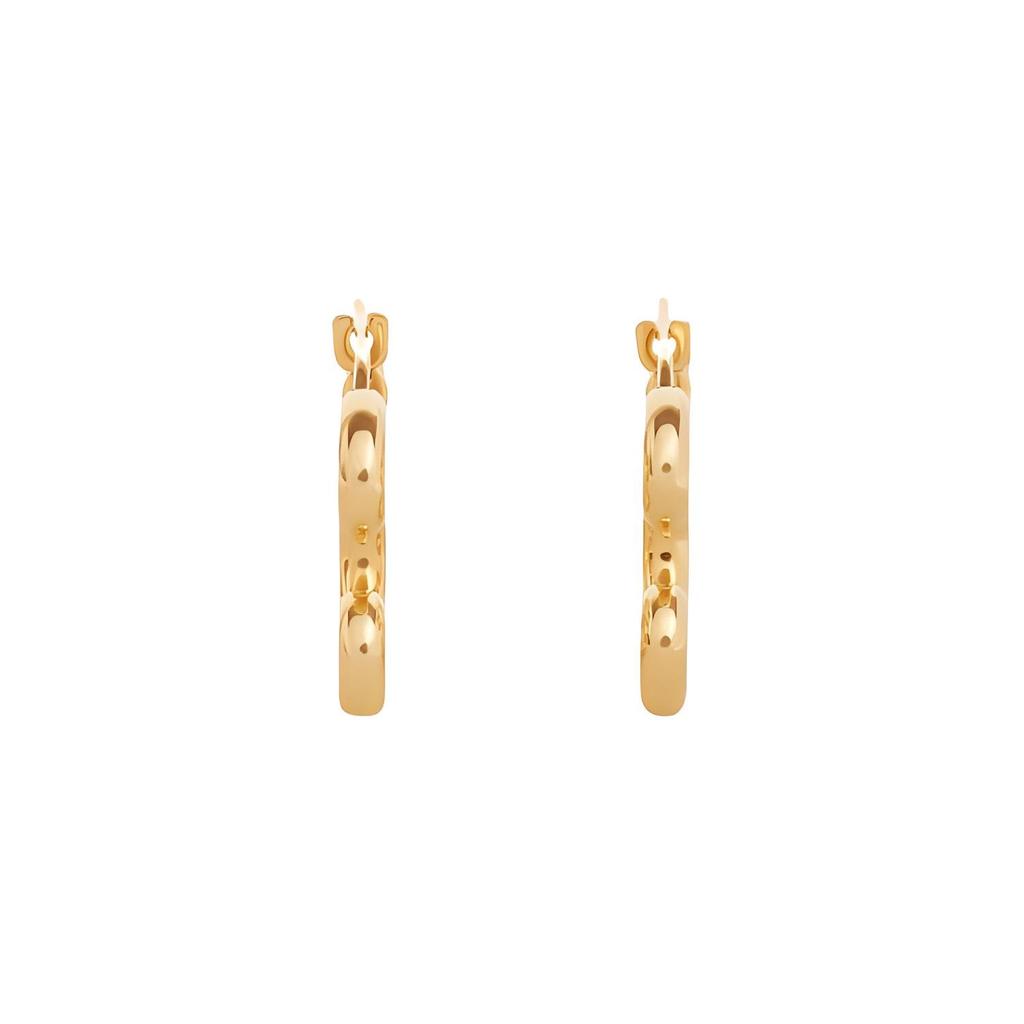 Celine Earrings Women's 460HS6BRA-35OR