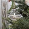 Acryl Weihnachtsbaumschmuck: 9-teiliges Set - 8 cm Schaumstoff-Hängekugeln mit Schneeflocken-Transparentdesign