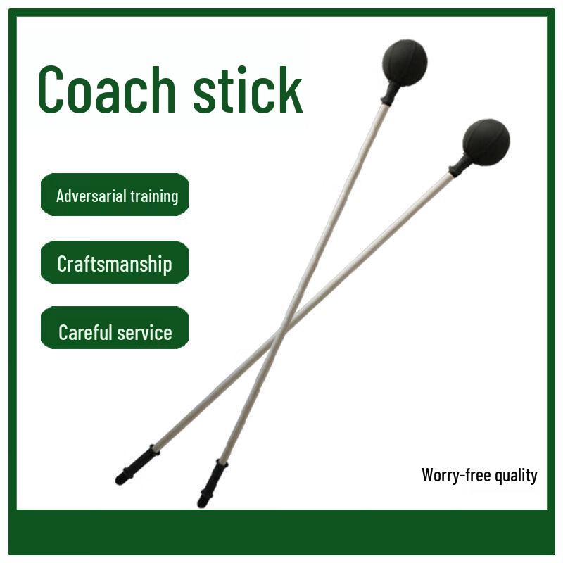 Martial Arts Training Stick