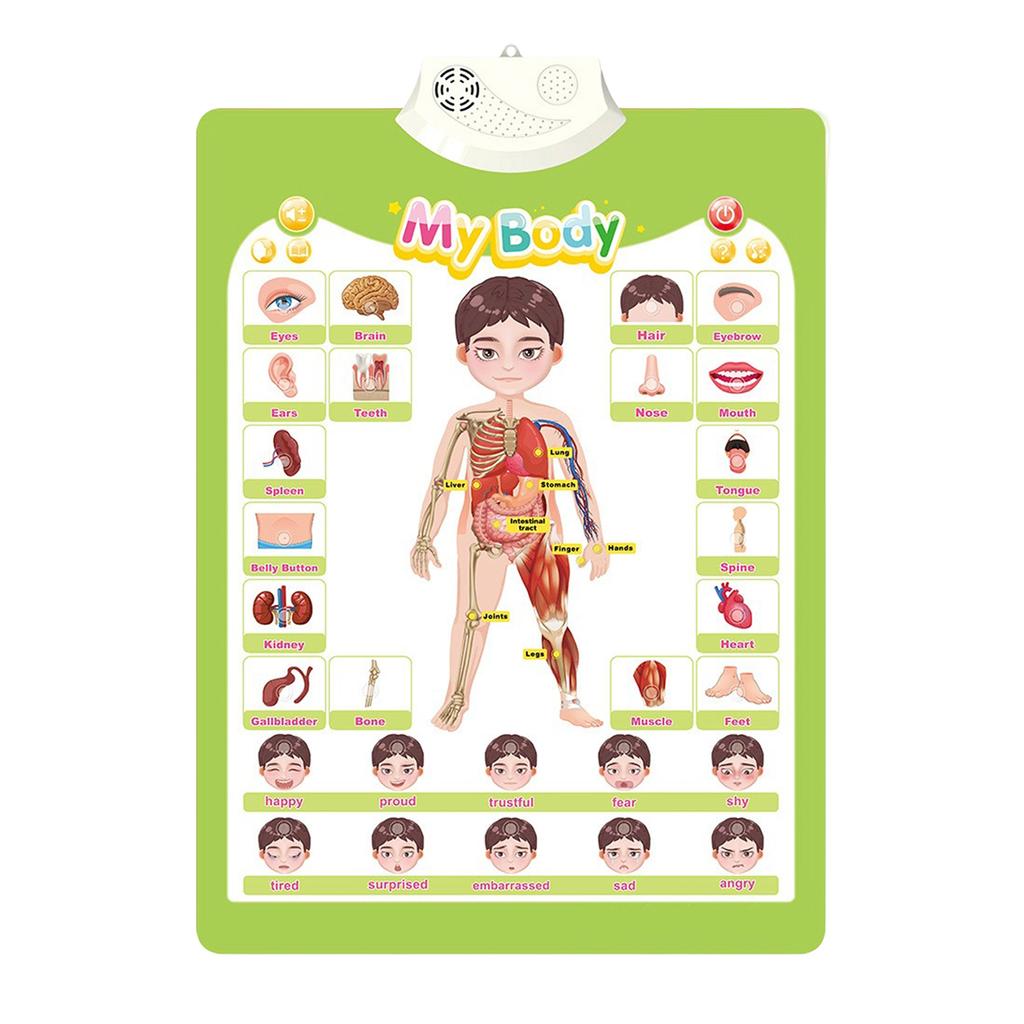 Upgraded Electronic Alphabet Poster Toddler Toys, Interactive Toys Alphabet Wall Chart, ABC Chart For Toddlers, Learning Toys For 1 2 3 4 Years Old