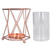 Plant Vase with Wrought Iron Flower Stand Transparent Glass Flower Pot Hydroponic Vase for Living