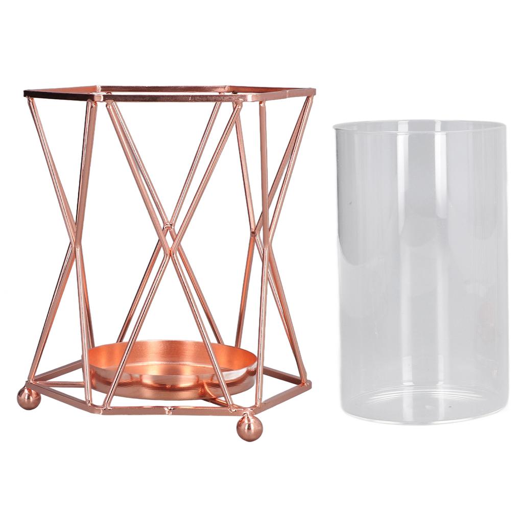 Plant Vase with Wrought Iron Flower Stand Transparent Glass Flower Pot Hydroponic Vase for Living